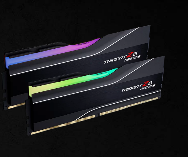G.SKILL F5-6000J2836F48GX2-TZ5NR 96GB (2 x 48GB)/ AMD EXPO/ DDR5 6000 MT/s/Timings 28-36-36-96/Voltage 1.35V/TZ5 Neo RGB