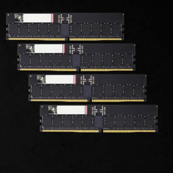 G.SKILL F5-6000R3036G16GQ4-G5N 64GB (4 x 16GB)/ DDR5 6000 MT/s/ Timings 30-36-36-96/ Voltage 1.4V/ EXPO