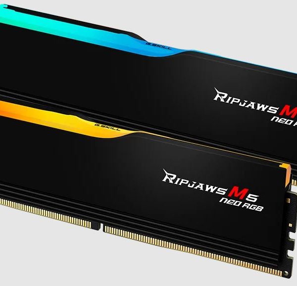 G.SKILL F5-6000J3636F32GX2-RM5NRK 64GB (2 x 32GB)/ DDR5 6000 MT/s/ Timings 36-36-36-96/ Voltage 1.35 V/ Ripjaws M5 Neo/EXPO/XMP 3.0