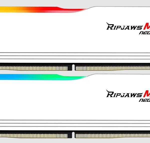 G.SKILL F5-6000J3648D16GX2-RM5NRW 32GB (2 x 16GB)/ DDR5 6000 MT/s/ Timings 36-48-48-96/ Voltage 1.25 V/ EXPO/ Ripjaws M5 Neo