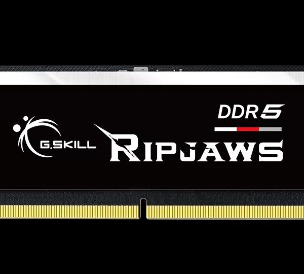 G.SKILL F5-5600S4645A48GX1-RS 48GB (1 x 48GB)/ DDR5 5600 MT/s / Timings 46-45-45-89/ Voltage 1.1V