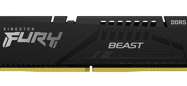 Kingston 16GB (1x16GB) DDR5 UDIMM 5600MHz CL36 FURY Beast Black EXPO Gaming PC Desktop Memory